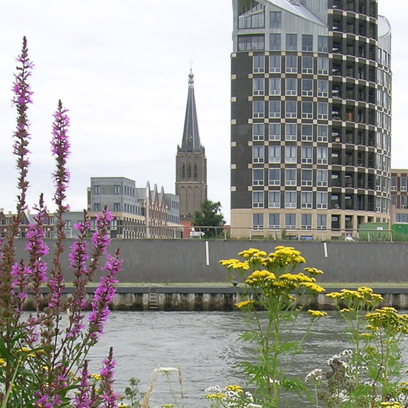 Focus - Industrie op de vlucht