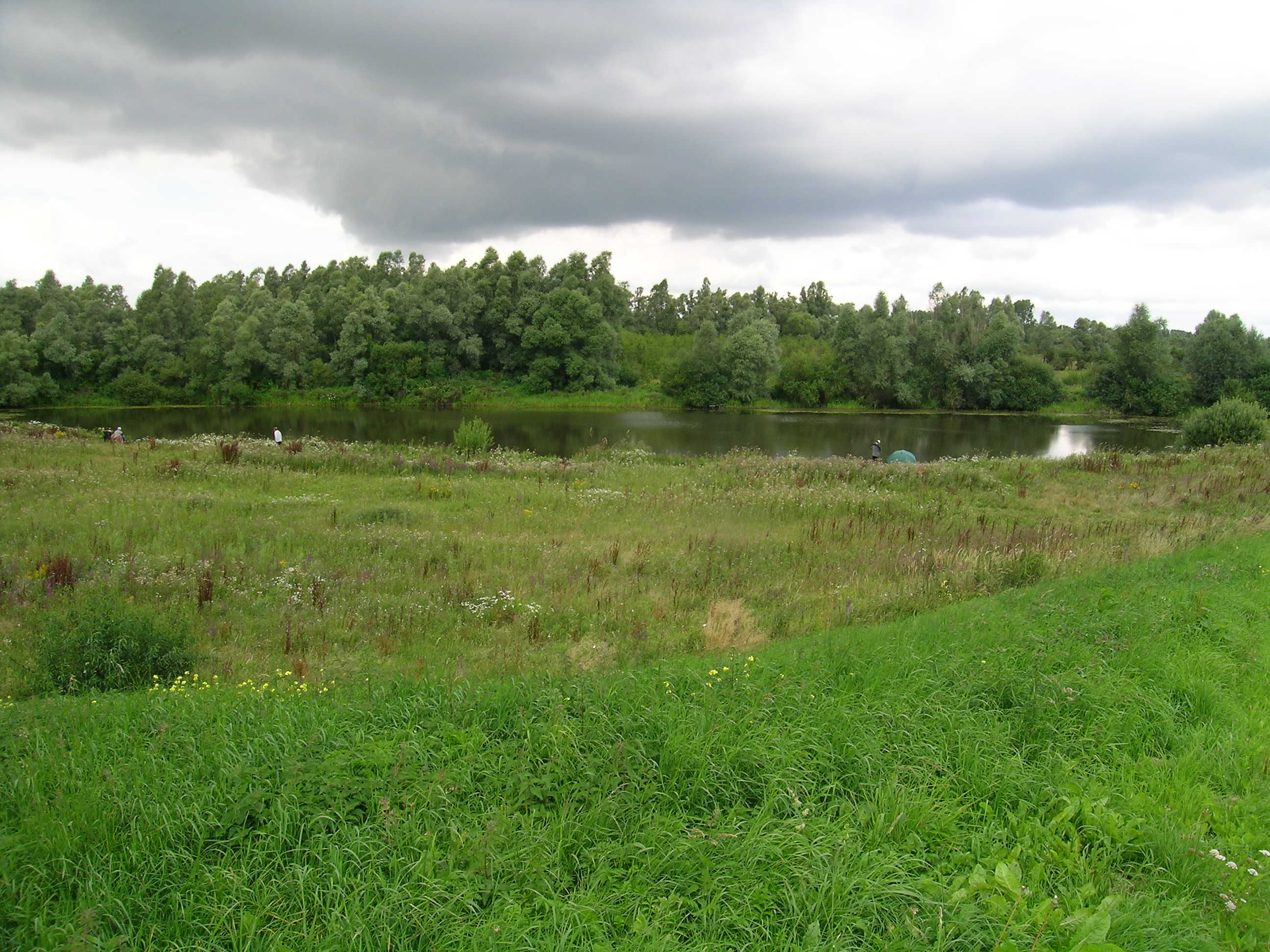 Financieele Dagblad - Natuur door kleiwinning