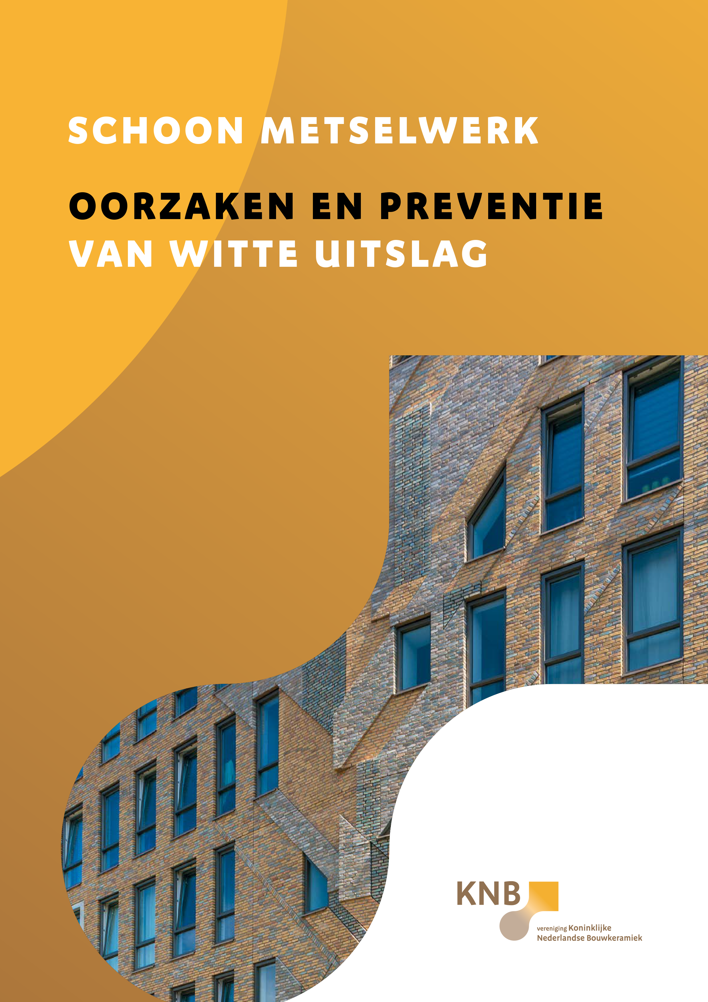 Schoon metselwerk oorzaken en preventie van witte uitslag-1.png