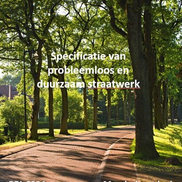Straatbaksteen 2.jpg (1)