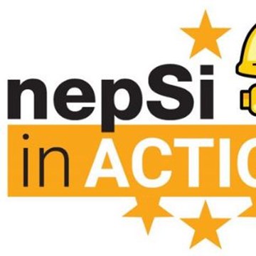 nepSi in action logo.JPG