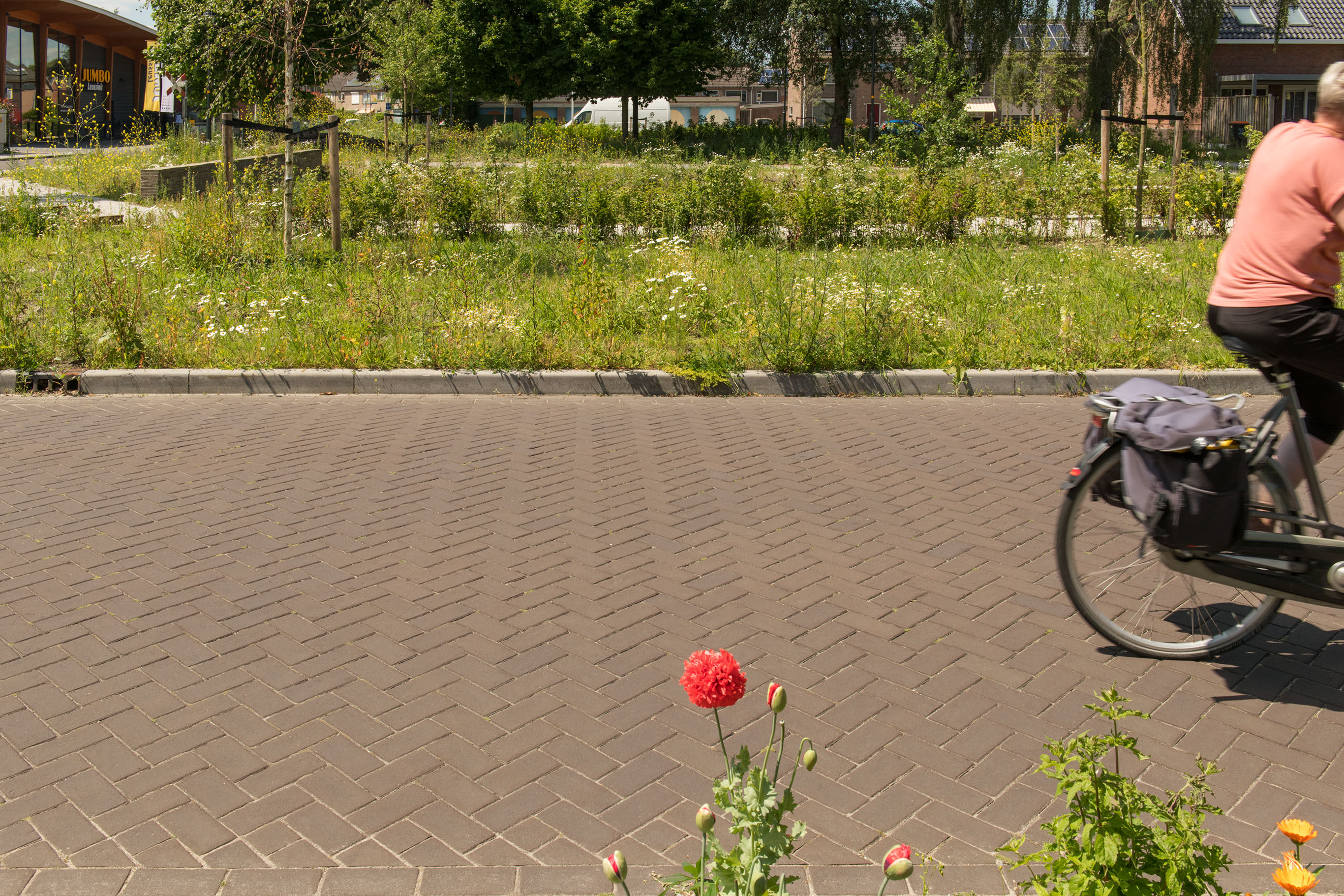 VDS_3_0705A2_64417_Dordogne_KF70_Spoorpark_Goor_NL_700_MR - kopie.jpg