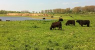 Nieuwe natuur 2